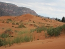 PICTURES/Coral Pink Sand Dunes/t_Dunes3.jpg